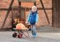 Preview: rollyMetallschubkarre/Double Wire
